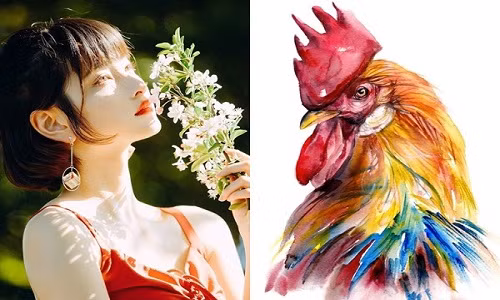 Từ sau Tết Nguyên Đán Nhâm Dần 2022, do đổi đời đổi vận mà con giáp này hóa giải được xui xẻo. Cuộc sống “nở hoa”, may mắn liên tục kéo đến. Không chỉ thành công nhanh chóng trong công việc mà thu nhập của tuổi Dậu cũng đi lên như diều gặp gió.