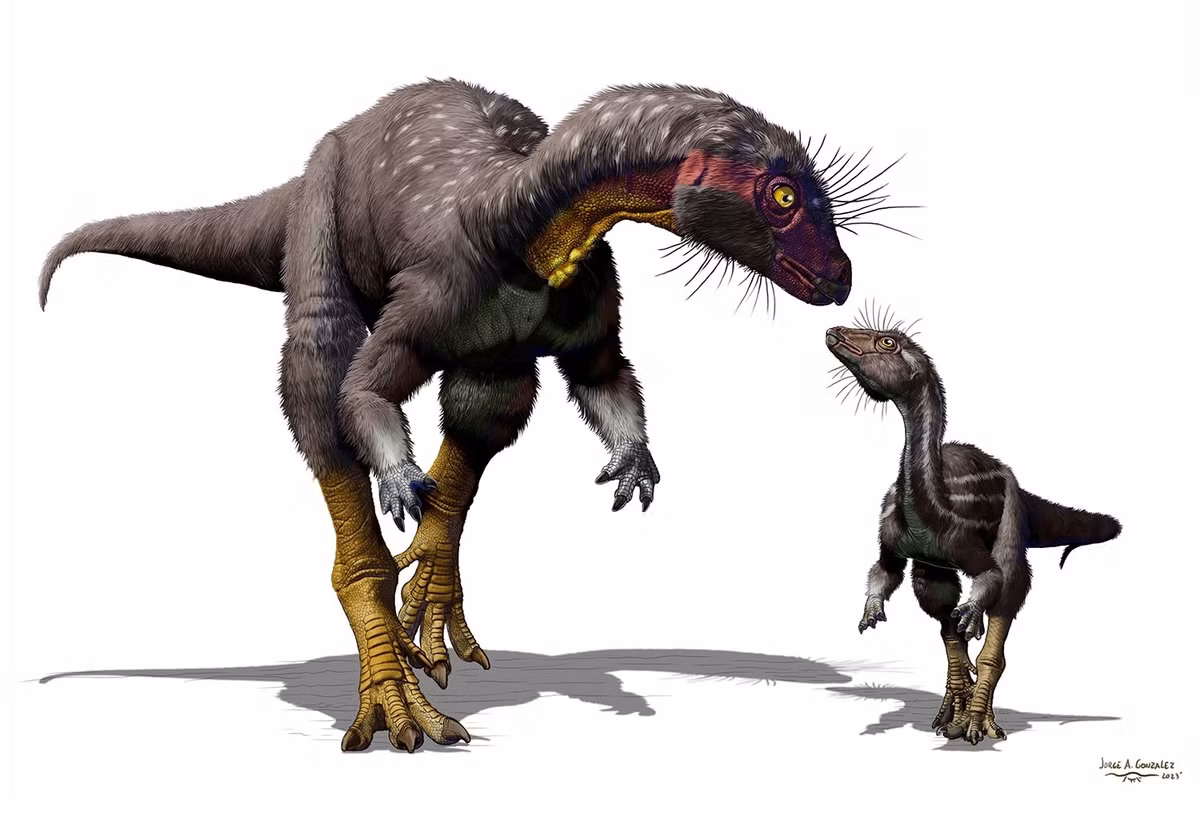 Bởi trong quá khứ, từng có một loài khủng long mang ngoại hình rất nhỏ, cỡ bằng con chó, nó sống nửa trên mặt đất, nửa dưới mặt đất. Ảnh: @Species New to Science. 