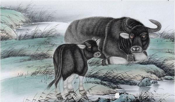 Người tuổi Sửu cởi mở, đối xử ôn hòa với mọi người nên thường được mọi người yêu quý. 