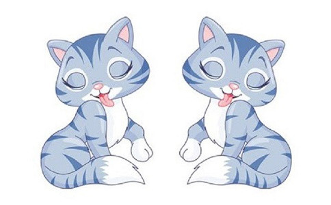 Tuổi Mão: Tuy vận thế của người tuổi Mão không quá xuất chúng, nhưng con giáp này thường dựa vào sự cố gắng của bản thân để đón lấy những cơ hội tốt.