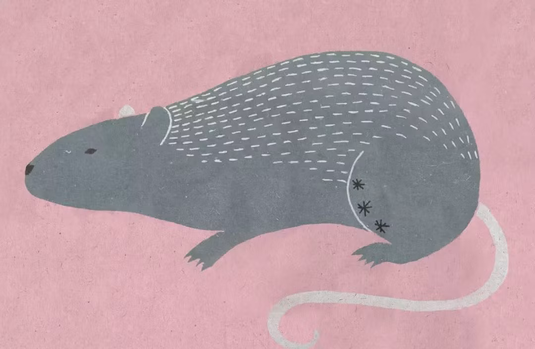 Tháng này, người tuổi Tý sinh năm 1960 và 1984 nên thận trọng trong quản lý tài chính, tiền bạc, chi tiêu bởi đây là những con giáp đen chí mạng về tài vận. 