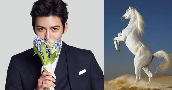 Chuyện tình cảm của người tuổi Ngọ tốt đẹp, hạnh phúc. Công việc suôn sẻ, giữ vững nguyên tắc, địa vị được nâng cao. Tài vận ổn định, thay đổi phương hướng dễ dàng trong việc kiếm tiền. Sức khỏe tốt, nên chia nhỏ thành nhiêu bữa ăn.