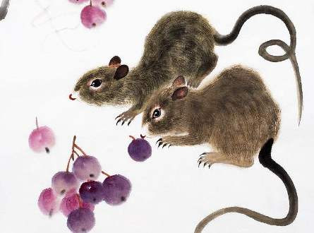 Theo dự đoán tài vận cuối năm Canh Tý, người tuổi Tý cho dù làm bất cứ việc gì cũng nên làm từ từ, từng bước có như vậy mọi việc mới thành công. Thời điểm cuối năm, vận khí của con giáp này rất tốt, sự nghiệp và tài vận sẽ thu về kết quả tốt đẹp nhất trong năm. Nếu người tuổi Tý có ý định kết hôn hoặc ký kết các hợp đồng làm ăn hầu hết đều có kết quả như mong muốn. 