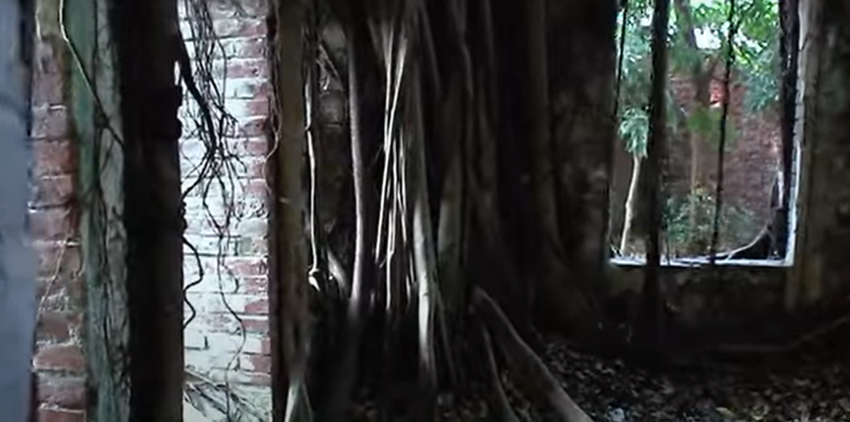 Tuy nhiên, những người khác khẳng định, đây là những linh hồn bất an của những người lao động đã chết trong quá trình xây dựng dinh thự này. Ảnh: @Camien Visual Arts.