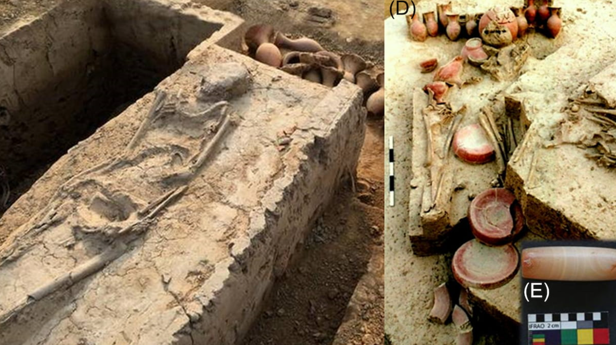 Việc sử dụng phương pháp phân tích đồng vị cacbon phóng xạ đã giúp các nhà nghiên cứu xác định niên đại chính xác hơn cho ngôi mộ hoàng gia này. Ảnh: @Archaeological Survey of India.