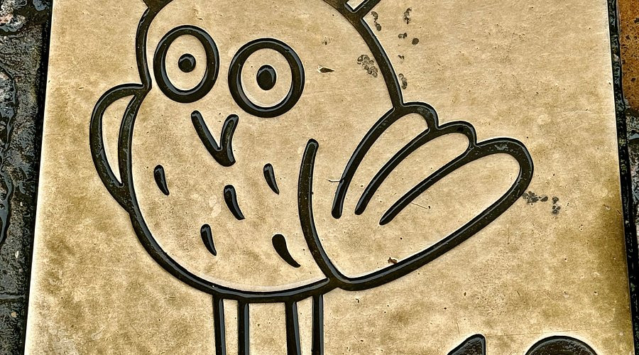 Con cú của Nhà thờ Đức Bà Dijon đã bị hư hại vào năm 2001 bởi những kẻ phá hoại ghét loài chim, nhưng con chim đã được sửa chữa mà không hề mất đi vẻ kỳ diệu. Ảnh: @Tammie Painter