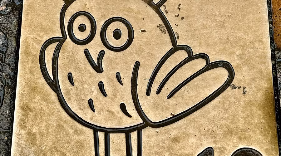 Con cú của Nhà thờ Đức Bà Dijon đã bị hư hại vào năm 2001 bởi những kẻ phá hoại ghét loài chim, nhưng con chim đã được sửa chữa mà không hề mất đi vẻ kỳ diệu. Ảnh: @Tammie Painter