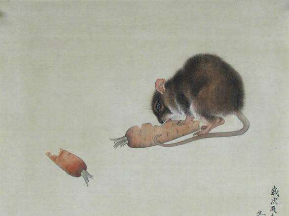 Trong vòng 3 ngày tới, do được cát tinh “ Long Đức” soi chiếu nên sẽ có cơ hội đổi vận. Mọi việc của người tuổi Tý trở nên hanh thông, thuận lợi. Công việc suôn sẻ, tài vận khởi sắc, làm đâu thắng đó, chính vì thế người tuổi Tý đã không còn phải đau đầu vì tiền nữa.