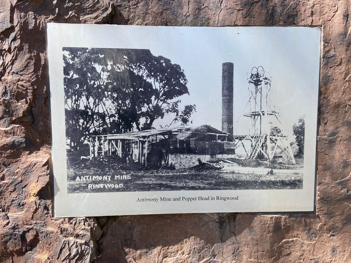 Mỏ Ringwood nằm ở thị trấn Ringwood, New Jersey, và từng là một trong những nơi sản xuất sắt lớn nhất thế giới. Mỏ đã bị bỏ hoang từ đầu những năm 1900, nhưng vẫn mở cửa cho khách du lịch muốn khám phá độ sâu tối tăm của nó. Ảnh: @Atlas Obscura.