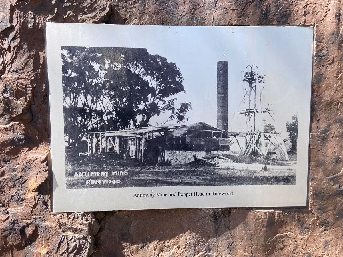 Mỏ Ringwood nằm ở thị trấn Ringwood, New Jersey, và từng là một trong những nơi sản xuất sắt lớn nhất thế giới. Mỏ đã bị bỏ hoang từ đầu những năm 1900, nhưng vẫn mở cửa cho khách du lịch muốn khám phá độ sâu tối tăm của nó. Ảnh: @Atlas Obscura.