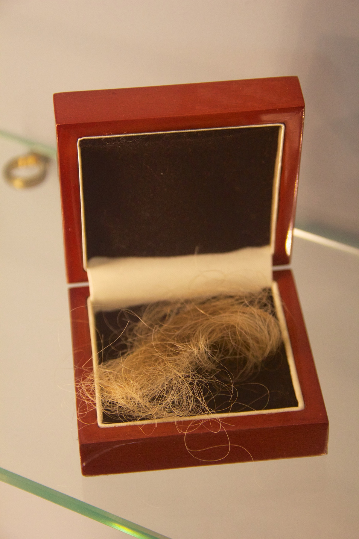 Còn Thư viện Folger Shakespeare ở Washington trưng bày một chiếc vòng tay làm từ tóc của Edwin Booth. Booth là một diễn viên kịch Shakespeare, nhưng thành tựu của ông bị lu mờ bởi người em trai John Wilkes Booth, người đã ám sát Abraham Lincoln. Ảnh: @Wikimedia Commons.