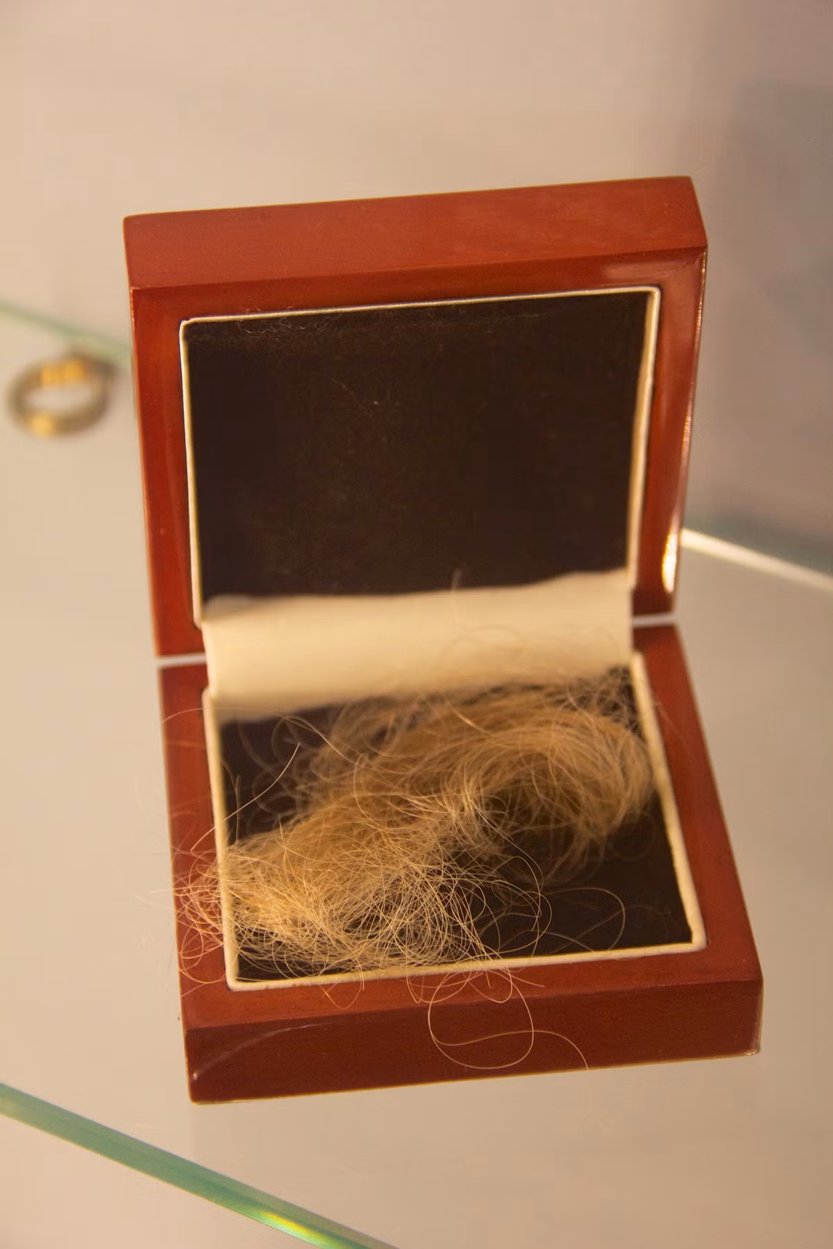 Còn Thư viện Folger Shakespeare ở Washington trưng bày một chiếc vòng tay làm từ tóc của Edwin Booth. Booth là một diễn viên kịch Shakespeare, nhưng thành tựu của ông bị lu mờ bởi người em trai John Wilkes Booth, người đã ám sát Abraham Lincoln. Ảnh: @Wikimedia Commons.