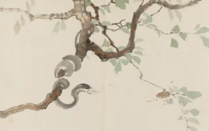 Ngoài ra, người tuổi Tỵ còn rất tính toán và rất giỏi mặc cả trong việc mua bán, một đồng một hào cũng không thể lọt qua tay họ.