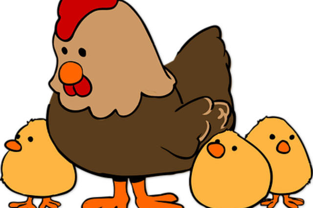 Tuổi Dậu từ nhỏ đã biết đặt các mục tiêu cho bản thân. Con giáp tự giác, quyết tâm, chỉ cần đã nói là phải làm.