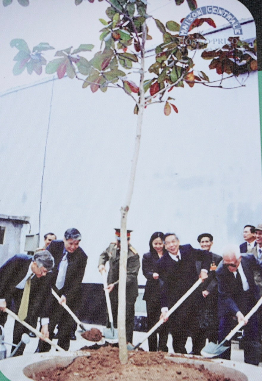 Từ phải sang: đồng chí Nguyễn Văn Trân – nguyên Bí thư Trung ương Đảng, nguyên Bí thư Thành ủy Hà Nội, Tổng Bí thư Lê Khả Phiêu; Đại tướng Văn Tiến Dũng; đồng chí Nguyễn Viết Chức, Giám đốc Sở Văn hóa Thông tin Hà Nội; đồng chí Nguyễn Phú Trọng – Bí thư Thành ủy Hà Nội trồng cây bàng lưu niệm tại Di tích Nhà tù Hỏa Lò, ngày 21/01/2001.