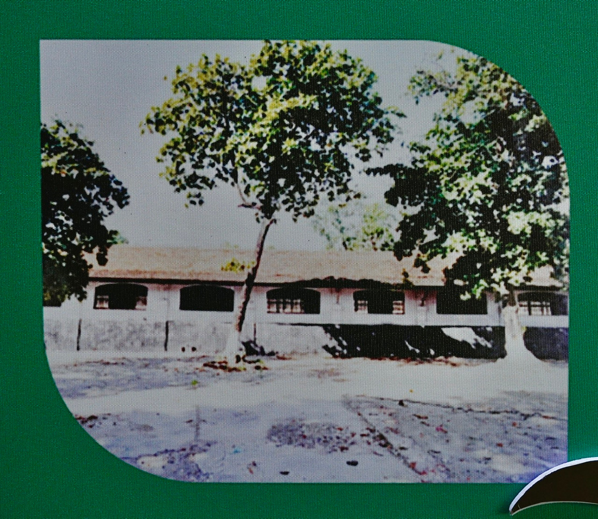 Gốc bàng là nơi đặt hòm thư mật của tù nhân. Gốc cây bàng ở sân trại nữ còn là “sân bay” của những chuyến hàng (đồ tiếp tế, bánh, kẹo, thuốc lào…) từ bên ngoài đáp vào. Tận dụng khoảng thời gian ngắn ngủi được ra sân, ngồi trao đổi, trò chuyện quanh gốc bàng, tù chính trị đã bàn bạc việc thành lập Chi bộ, hình thành các tổ chức quần chúng, đề ra các phương án, kế hoạch đấu tranh trong Nhà tù Hỏa. Trong ảnh: Những cây bàng trong sân trại N, O (các trại giam nam tù chính trị).