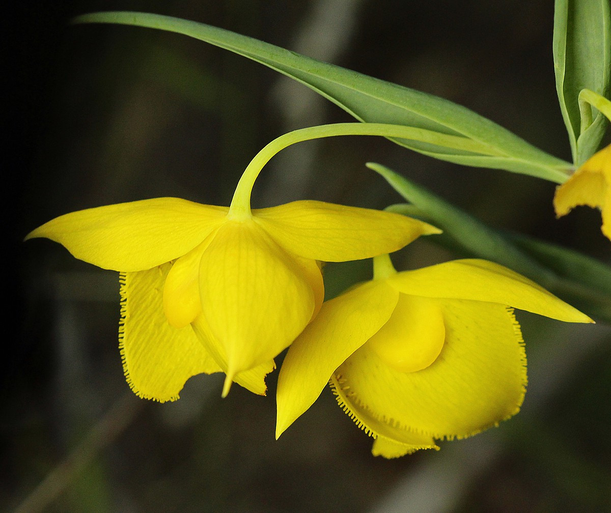 Tuổi Mùi: Vận thế của người tuổi Mùi gặp nhiều sóng gió, gặp nhiều chuyện phiền phức không mong muốn trong công việc, vì vậy nên giữ bình tĩnh khi xử lý vấn đề phát sinh. Tình hình tài chính bình thường. Cần chú ý đến chuyện tình cảm để tránh những mâu thuẫn không đáng có xảy ra. Ảnh: baidu.com.