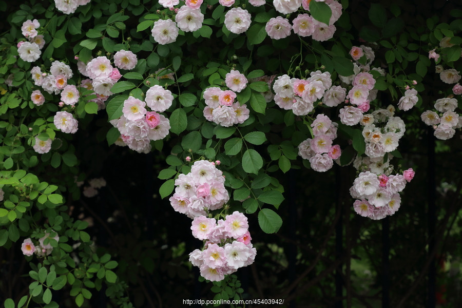 Chính vì điều trên, người sinh vào ngày 16 và 19 âm lịch rất thuận lợi trong công việc, nên có thể làm một thu ba thu bốn và dần tích lũy được tiền bạc và tài sản không nhỏ. 