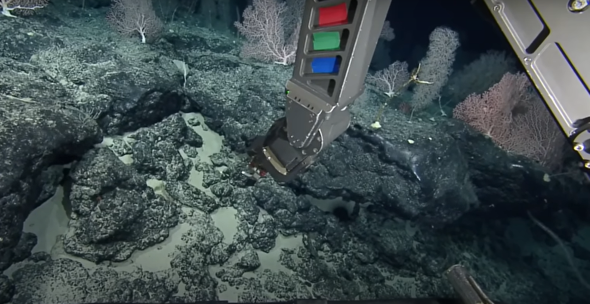 Trong cuộc thám hiểm đến một đáy biển sâu, ngay phía bắc quần đảo Hawaii, các chuyên gia thám hiểm đã tìm thấy một di tích được lát bằng thứ trông giống như một con đường gạch màu vàng. Ảnh: @EVNautilus.