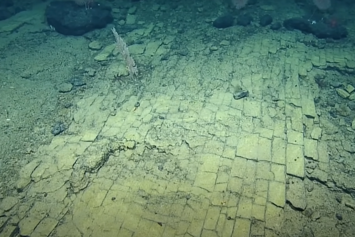 Thay vào đó, nó là một dải đá núi lửa hiếm có tên là hyaloclastite. Con đường gạch vàng này là sản phẩm của dòng đá núi lửa hyaloclastite bị nứt vỡ xảy ra trong các vụ phun trào năng lượng cao ở dưới đáy biển. Ảnh: @EVNautilus.