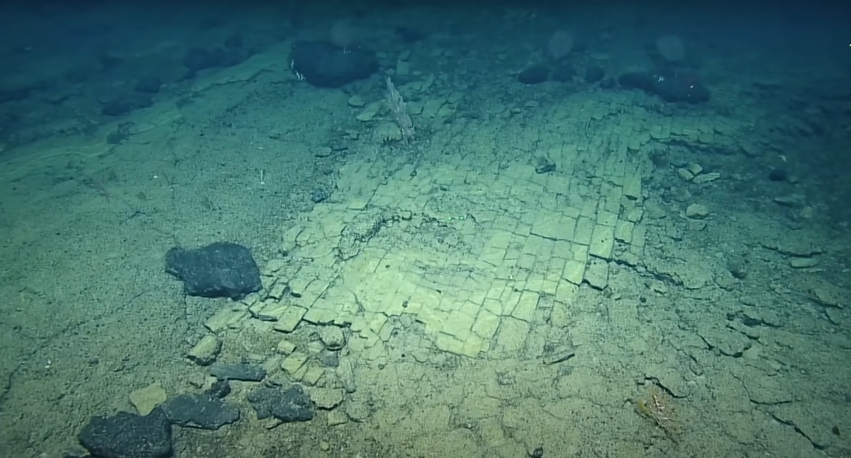 Được biết, Di tích biển quốc gia Papahānaumokuākea (PMNM) là một trong những khu bảo tồn biển lớn nhất thế giới, lớn hơn tất cả các công viên quốc gia tại Mỹ cộng lại. Tuy nhiên, giới khoa học chỉ mới khám phá được 3% của đáy biển này. Ảnh: @EVNautilus.