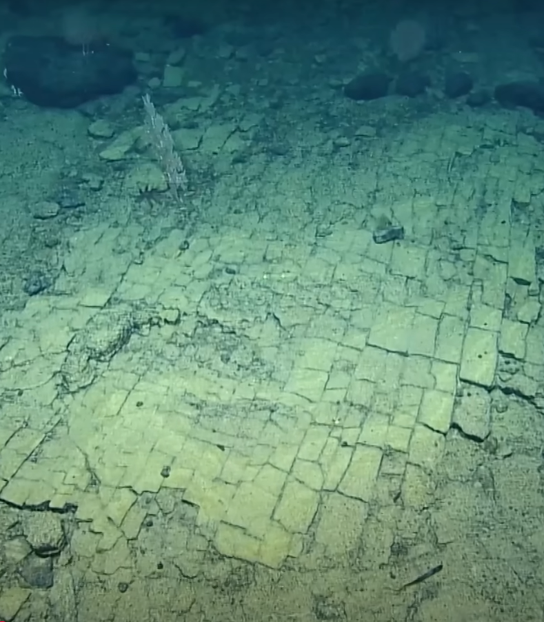 Thoạt đầu, người xem tưởng chừng cấu trúc này như một “con đường gạch vàng” dẫn đến thành phố huyền thoại Atlantis. Tuy nhiên, hóa ra "con đường" này không phải là dấu hiệu của một nền văn minh cổ đại. Ảnh: @EVNautilus.