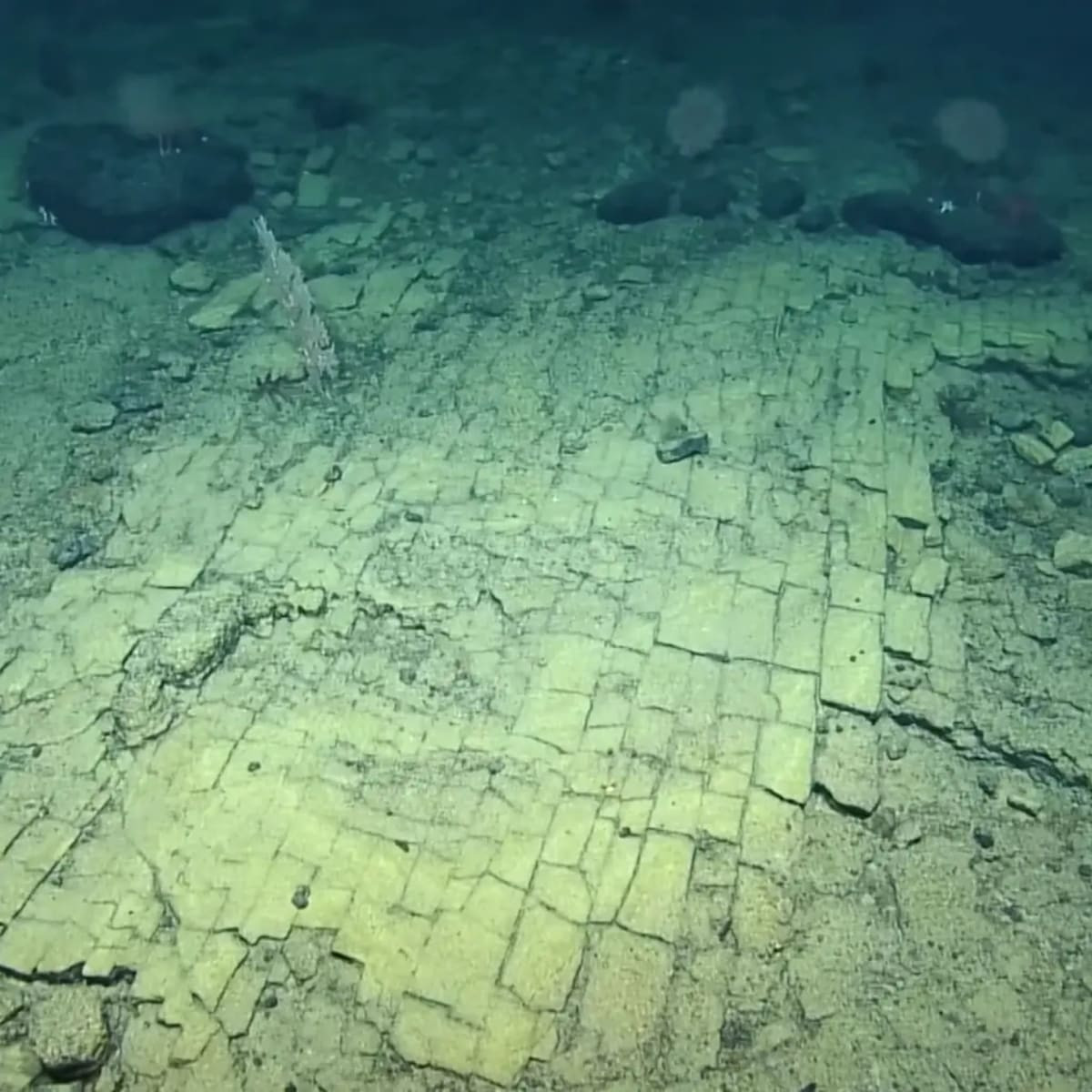 Tổ chức Ocean Exploration Trust giải thích lý do tại sao các khối đá lại giống như viên gạch. Tổ chức này cho rằng, khi dung nham nóng từ các núi lửa dưới biển gặp nước biển lạnh, nó nóng lên rồi nguội đi đột ngột, sẽ tách ra theo kiểu hình chữ nhật giống như là gạch hoặc đá cuội. Ảnh: @EVNautilus.