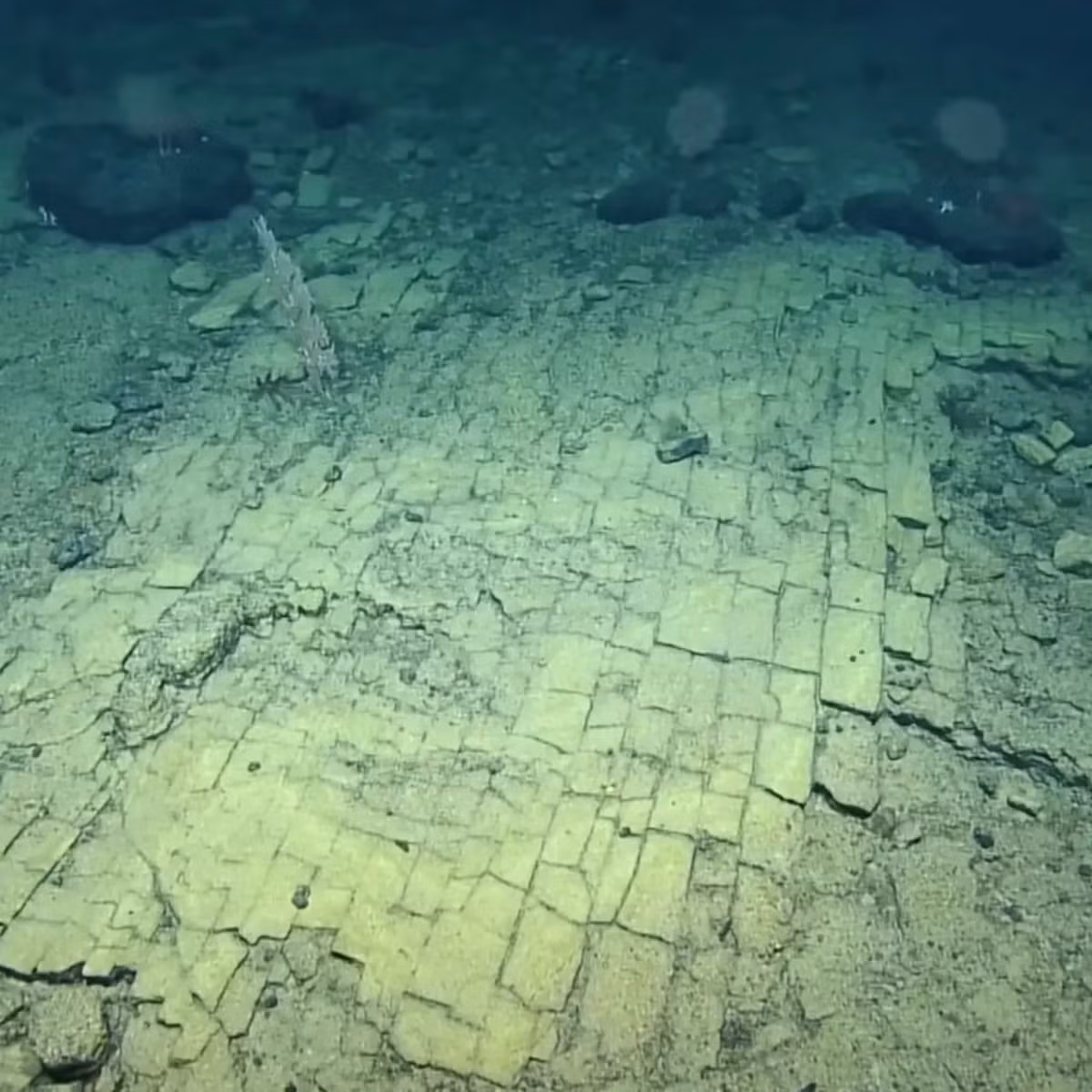 Tổ chức Ocean Exploration Trust giải thích lý do tại sao các khối đá lại giống như viên gạch. Tổ chức này cho rằng, khi dung nham nóng từ các núi lửa dưới biển gặp nước biển lạnh, nó nóng lên rồi nguội đi đột ngột, sẽ tách ra theo kiểu hình chữ nhật giống như là gạch hoặc đá cuội. Ảnh: @EVNautilus.