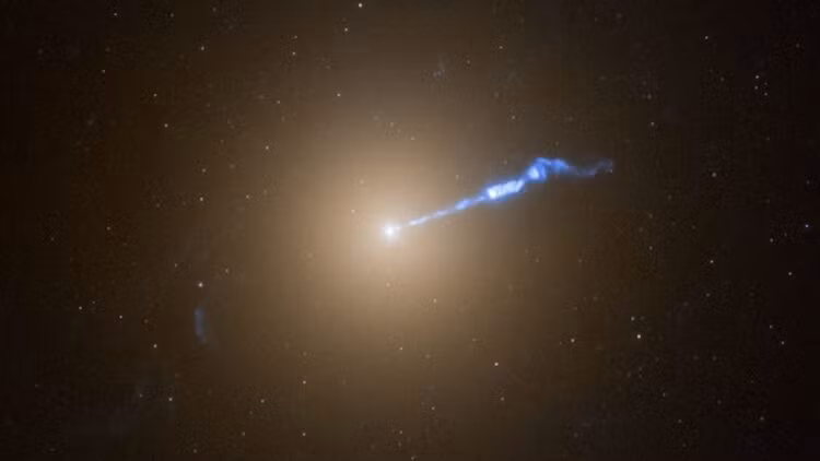 Theo ông, có hai động lực tiến hóa phổ quát sẽ khiến điều này xảy ra đối với bất kỳ nền văn minh lâu đời nào: “Đó là sự sống còn và sinh sản".Ảnh: @El Adelantado de Segovia. 