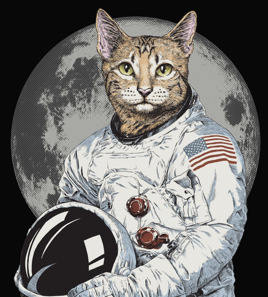 Tuổi Mão cần học cách kiểm soát cảm xúc, từ đó đưa ra vấn đề một cách hiệu quả, rõ ràng, công việc sẽ nhanh thành công. Hôm nay con giáp không được vay mượn tiêu xài hoang phí, kẻo tiền một đi không trở về.