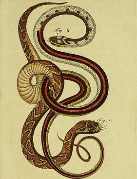 Đồng nghiệp vừa là người giúp đỡ tuổi Tỵ trước áp lực, nhưng cũng đồng thời là đối thủ trong công việc. Vì vậy con giáp cần giữ khoảng cách tốt, tránh tham gia vào việc cá nhân mà mang họa. Tuần này tuổi Tỵ không nên đầu tư, hạn chế liên quan tiền bạc kẻo dễ sinh phiền phức.