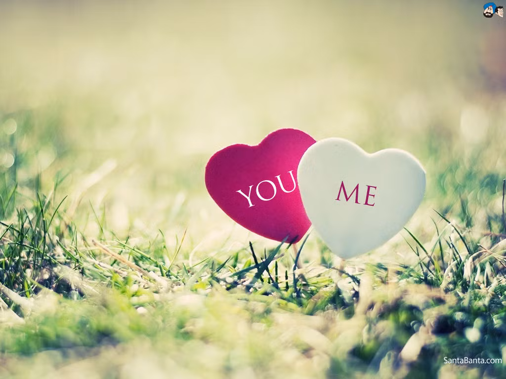 Tuổi Sửu: Người tuổi Sửu tương đối hướng nội, chính vì vậy thường hay bỏ qua cơ hội tốt trong tình cảm. Ảnh: herb.com.