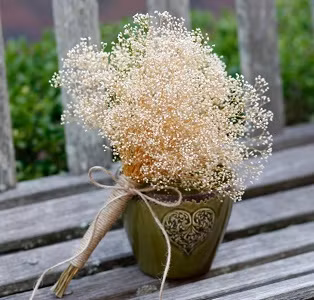 Người sinh vào tháng sinh này khi còn trẻ thì phúc lộc vây quanh, hậu vận tiền bạc rủng rỉnh, giàu sang phú quý, cả đời không giàu sang thì cũng phú quý.