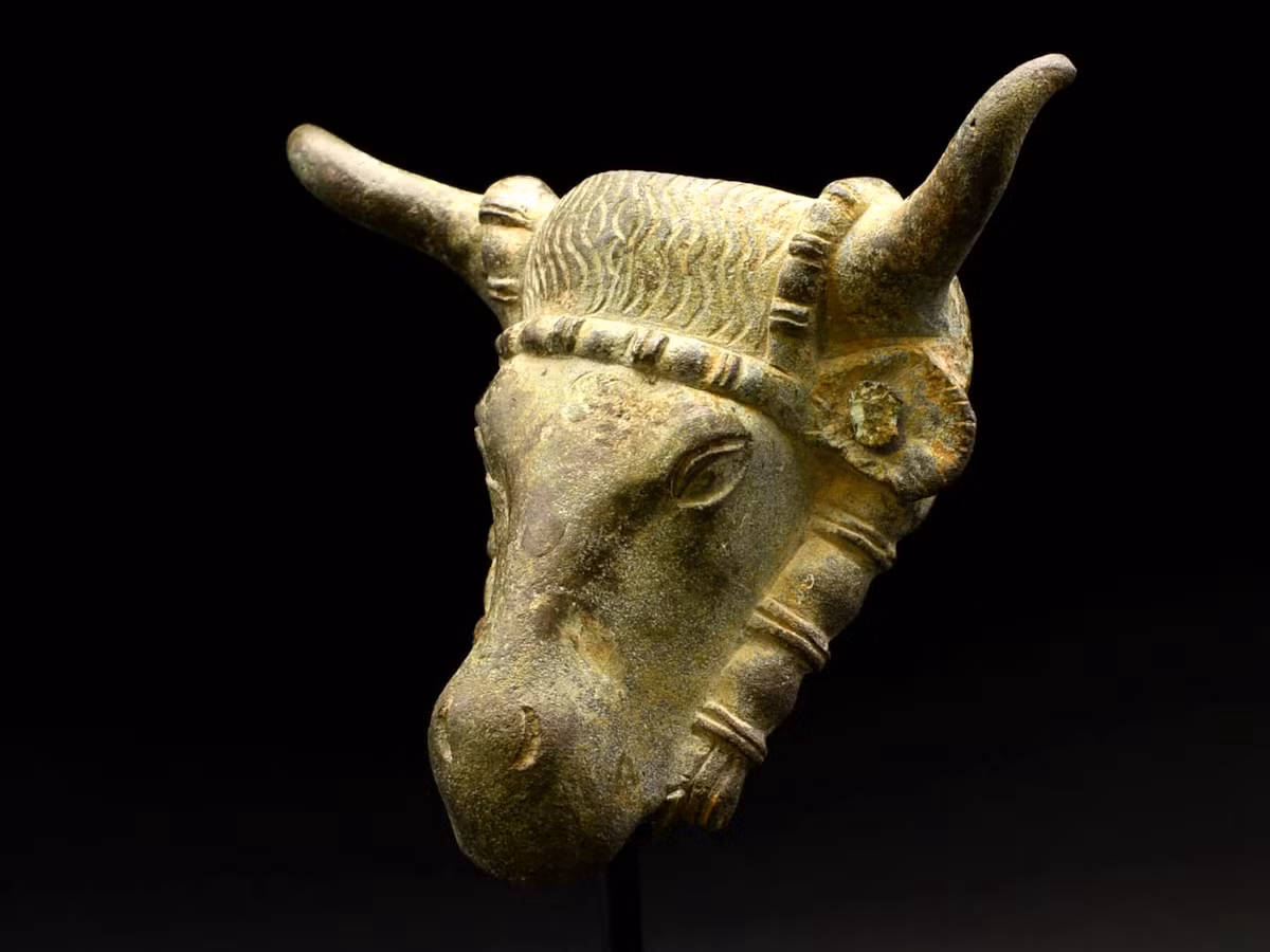 Theo các tài liệu lịch sử La Mã cổ đại để lại, đầu bò tượng trưng cho sức mạnh và quyền lực, có nguồn gốc sâu xa trong văn hóa La Mã. Chúng gắn liền với thần Jupiter, không chỉ đại diện cho sức mạnh của vị thần này, mà còn nhấn mạnh vai trò của vị thần này trong việc thanh lọc và bảo vệ. Ảnh: @Alexander Ancient Art.