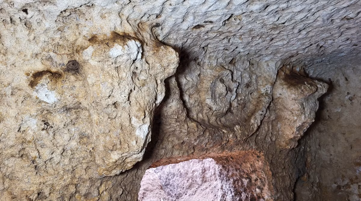 Việc đưa cấu trúc đầu bò đá (bucrania) vào kiến trúc lăng mộ có liên quan đến các phong tục tang lễ La Mã rộng lớn hơn, phát triển đáng kể theo thời gian. Ảnh: @iha.new.