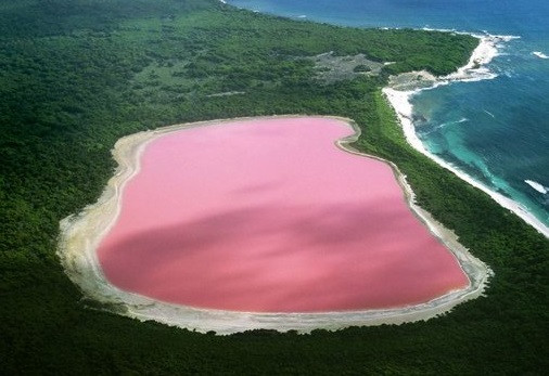 Tuổi Hợi: Công việc: nên biết nắm bắt lấy cơ hội tốt trước mắt. Tài vận: có thêm nhiều khoản thu. Tình cảm: nên trân trọng tình cảm hiện tại. Ảnh: baidu.com. (Bài viết chỉ mang tính tham khảo, cung cấp nội dung trắc nghiệm vui cho bạn đọc).