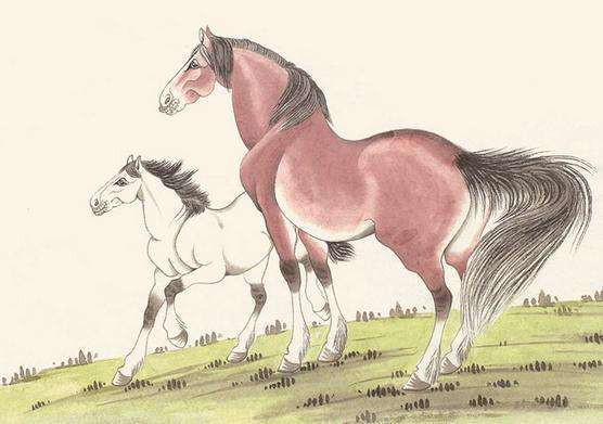 Tuổi Ngọ: Ngũ hành của phụ nữ tuổi Ngọ là Thủy hơn nữa lại là “âm dương chuyển hóa”. Phụ nữ tuổi Ngọ là người rất coi trọng tình cảm, có lòng tự tôn rất cao, và yêu cầu rất nghiêm khắc với bản thân.