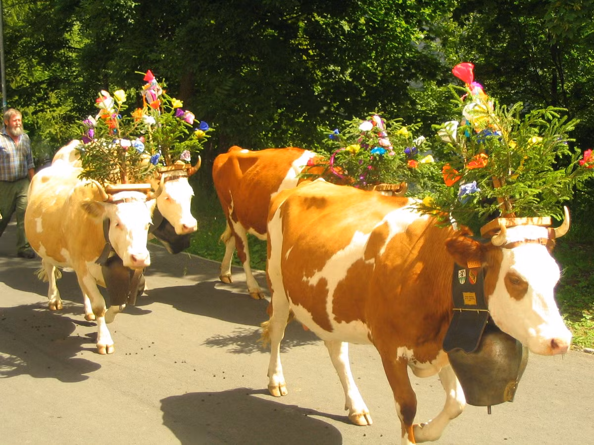 Du doan ngay moi 17/5/2020 cho 12 con giap: Ty, Ngo tham thi tham-Hinh-2