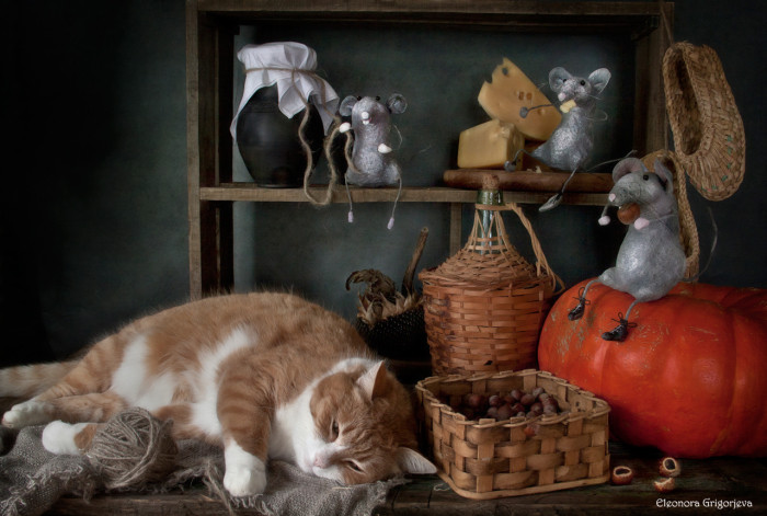  Tuổi Mão: Dự đoán ngày mới cho tử vi 12 con giáp tin rằng, hài hước là chìa khóa đưa bạn ra khỏi cơn bĩ cực về tài chính trước mắt. Các khoản tiền tài trợ đổ về dồn dập khiến bạn cười không khép được miệng. Vượng vận đào hoa càng khiến con giáp này cảm thấy mình đang là trung tâm của vụ trũ, cả thế giới phải xoanh quanh. 