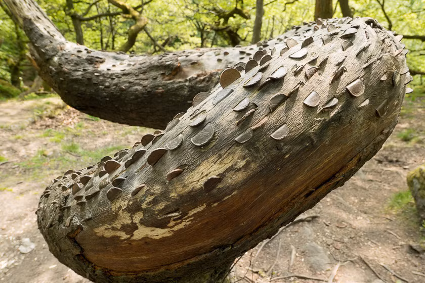 Nhưng người ta tin rằng, nếu bạn cố tình lấy đồng xu của người khác ra khỏi cây ước nguyện đó, thì bạn sẽ bị nguyền rủa, vì căn bệnh của người kia sẽ gá ngược vào trong thân của bạn. Ảnh: @Natural Born Blogger.