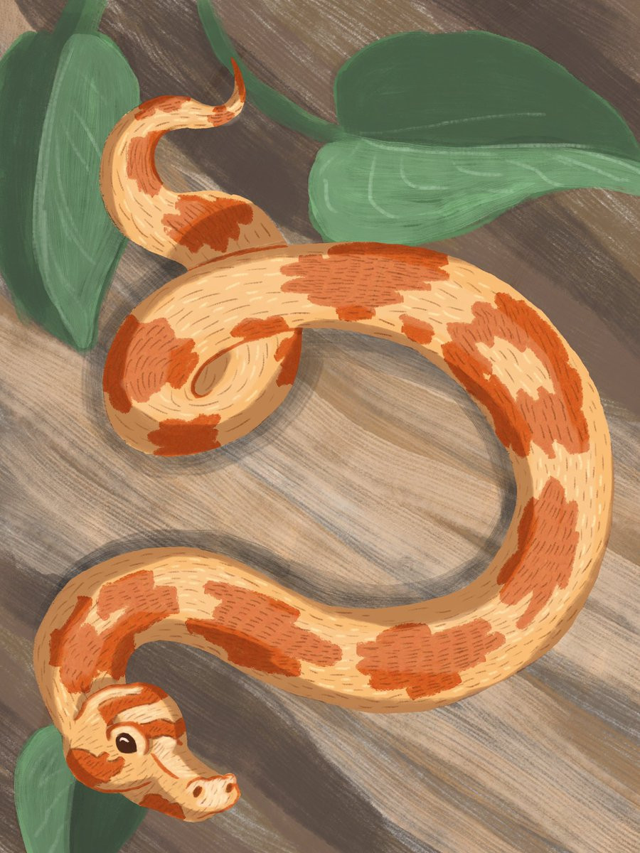 Tiểu nhân hãm hại tuổi Tỵ có thể nằm ngay ở nơi làm việc nhằm cạnh tranh cơ hội. Kẻ xấu không ngần ngại hạ thấp hình ảnh tuổi Tỵ trước lãnh đạo, cũng như tìm cách tranh cướp công sức của bạn. Hãy giữ khoảng cách và đừng chia sẻ quá nhiều về những ý định của mình.