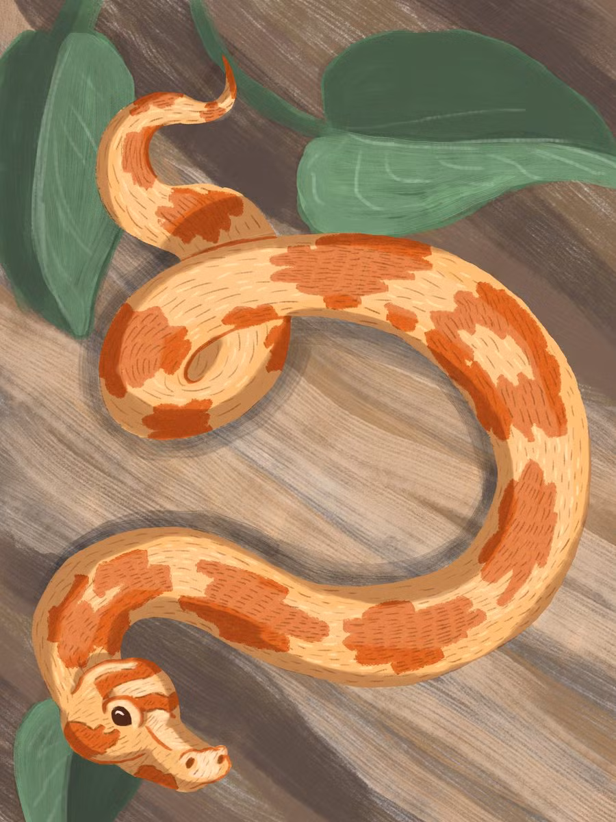 Tiểu nhân hãm hại tuổi Tỵ có thể nằm ngay ở nơi làm việc nhằm cạnh tranh cơ hội. Kẻ xấu không ngần ngại hạ thấp hình ảnh tuổi Tỵ trước lãnh đạo, cũng như tìm cách tranh cướp công sức của bạn. Hãy giữ khoảng cách và đừng chia sẻ quá nhiều về những ý định của mình.