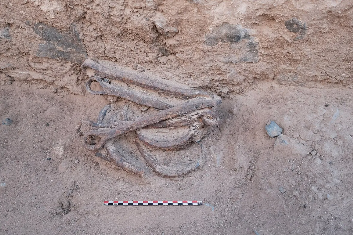 Họ bị trói bằng xiềng xích nặng quanh mắt cá chân, làm nổi bật sự tàn ác và vô cảm mà đế chế Ptolemy I cổ đại từng thực hiện. Ảnh: @Bérangère Redon.