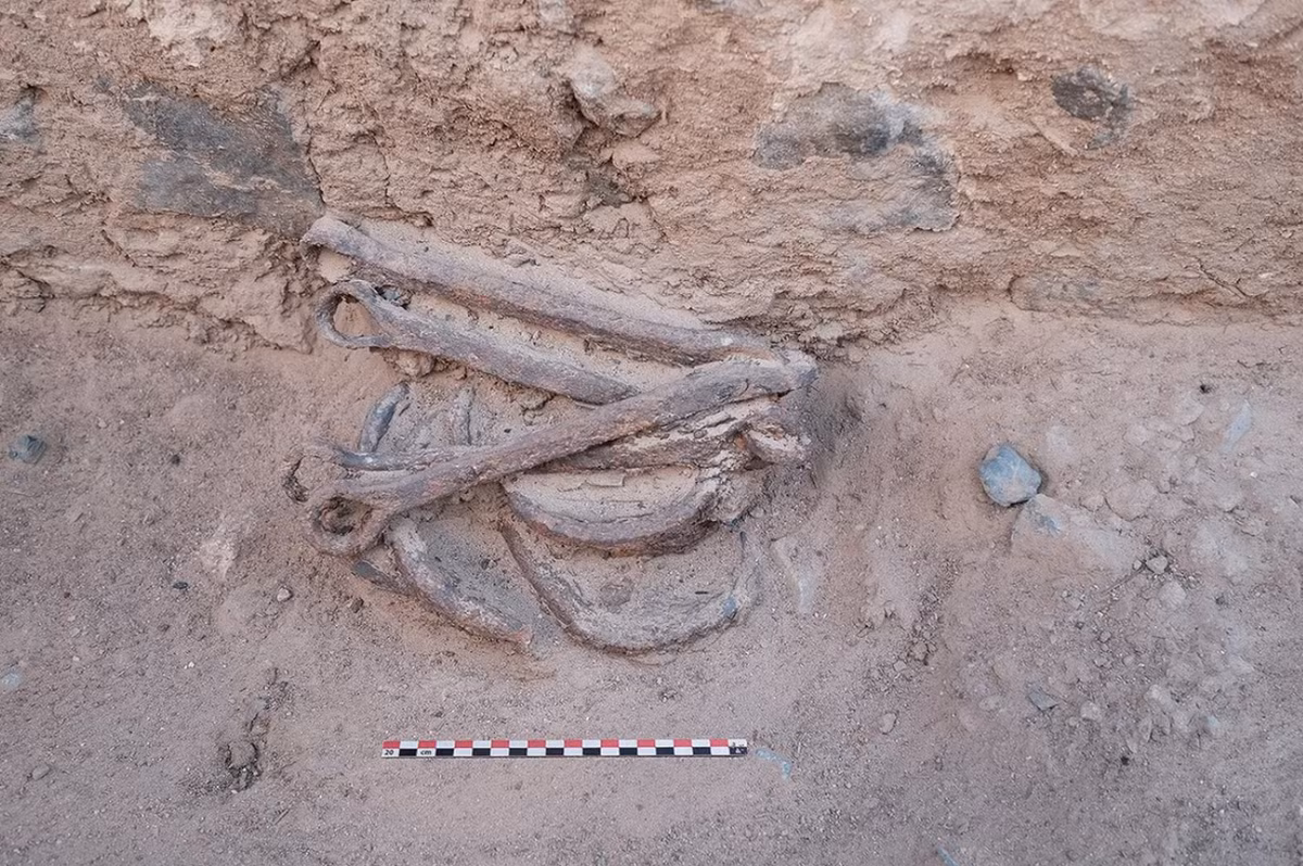 Họ bị trói bằng xiềng xích nặng quanh mắt cá chân, làm nổi bật sự tàn ác và vô cảm mà đế chế Ptolemy I cổ đại từng thực hiện. Ảnh: @Bérangère Redon.