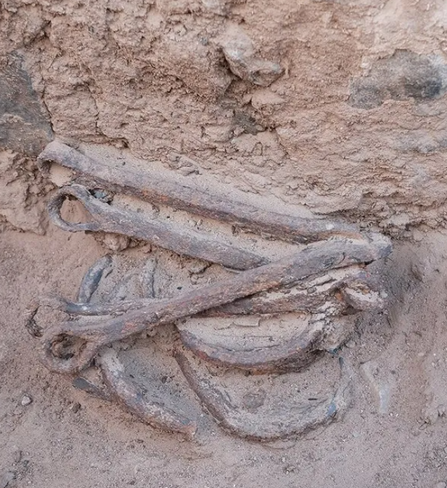 Cụ thể, có hai bộ xiềng sắt đã được phát hiện. Bộ đầu tiên bao gồm bảy cùm chân cùng với hai mắt xích. Bộ thứ hai có bốn mắt xích và các mảnh từ hai cùm chân. Ảnh: @Bérangère Redon.