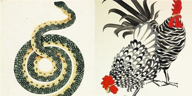 Với những đặc điểm trên, nếu cả ba con giáp hoặc hai trong ba con giáp cùng hợp tác đầu tư, kinh doanh sẽ bổ trợ những khiếm khuyết cho nhau, cùng nhau phát triển cho nên việc kinh doanh sẽ vô cùng hồng phát, thậm chí có thể tạo dựng nên đại nghiệp.