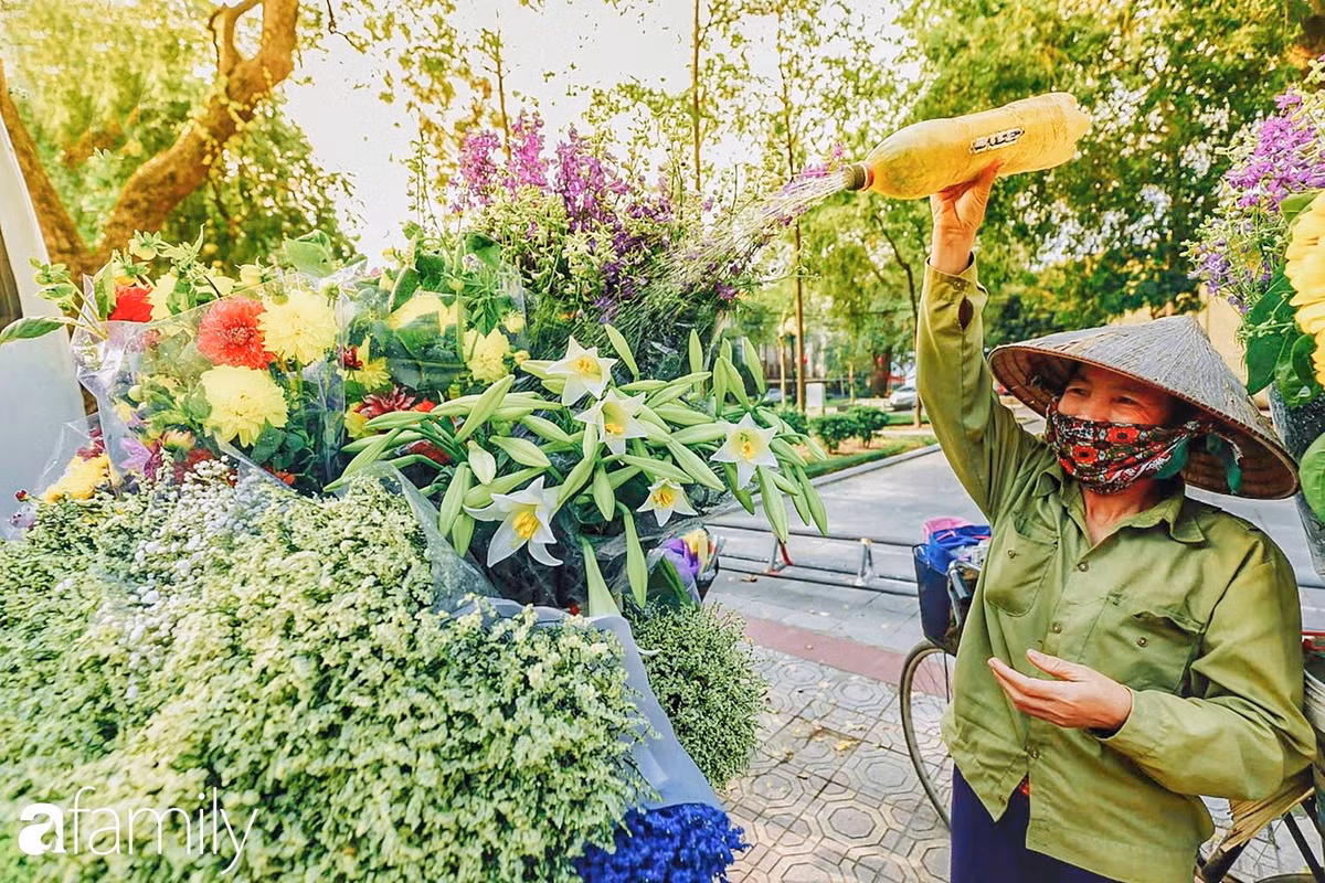 Theo PGS. TS Đặng Văn Đông, việc hoa nở rải rác và có thể trồng nhiều vụ trong năm giúp giảm áp lực cho người trồng hoa. Đặc biệt, ưu điểm này giúp loa kèn có quanh năm thay vì chỉ một mùa. Nhờ giống loa kèn tứ quý vừa đẹp, vừa thơm lại dễ cắm, giờ đây, mùa thu, mùa đông, mùa xuân đều có hoa loa kèn.