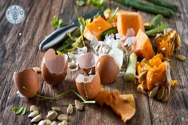 TS. Nguyễn Văn Hội cho biết, ở quy mô lớn, rác thải hữu cơ có thể dùng sản xuất phân hữu cơ công nghiệp, tạo khí đốt, phát điện... Với hộ gia đình, có thể tận dụng làm thức ăn chăn nuôi (cọng rau, cơm thừa… dùng làm thức ăn cho gà, vịt, lợn), đặc biệt có thể dùng làm chất dinh dưỡng sạch bón cho cây trồng.