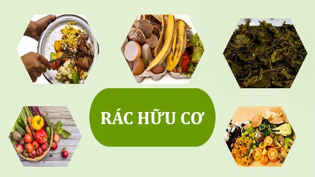 Theo TS. Nguyễn Văn Hội, Học viện Nông nghiệp Việt Nam, các loại rác có nguồn gốc sinh học (từ các sản phẩm trồng trọt, chăn nuôi, thu hái/đánh bắt tự nhiên) đều là rác thải hữu cơ. Trong gia đình, nguồn rác thải hữu cơ hàng ngày bắt nguồn từ: sản phẩm phụ không sử dụng ví dụ cọng rau, vỏ quả, bã chè, bã tôm, cua.. và thực phẩm thừa sau bữa ăn: cơm, canh, thịt, cá, rau… 