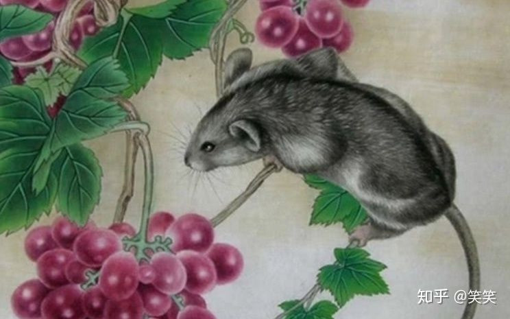 Theo dự đoán tuần mới từ 12/7/2021 đến 18/7/2021, tuổi Tý phối hợp tốt với lãnh đạo và đồng nghiệp, có thể hoàn thành tiến độ công việc như mong đợi. Con giáp cần giảm bớt các cuộc vui chơi để hạn chế chi tiêu. Cuối tuần tuổi Tý có cơ hội kiếm thêm thu nhập.